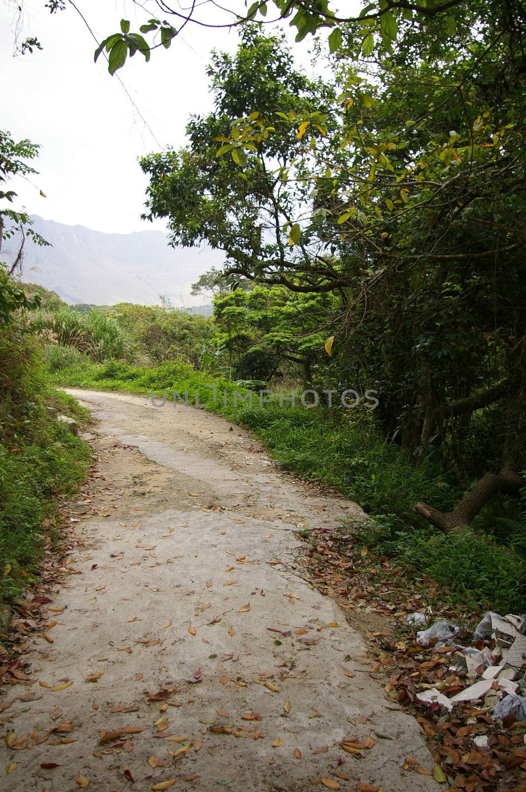 Hiking path