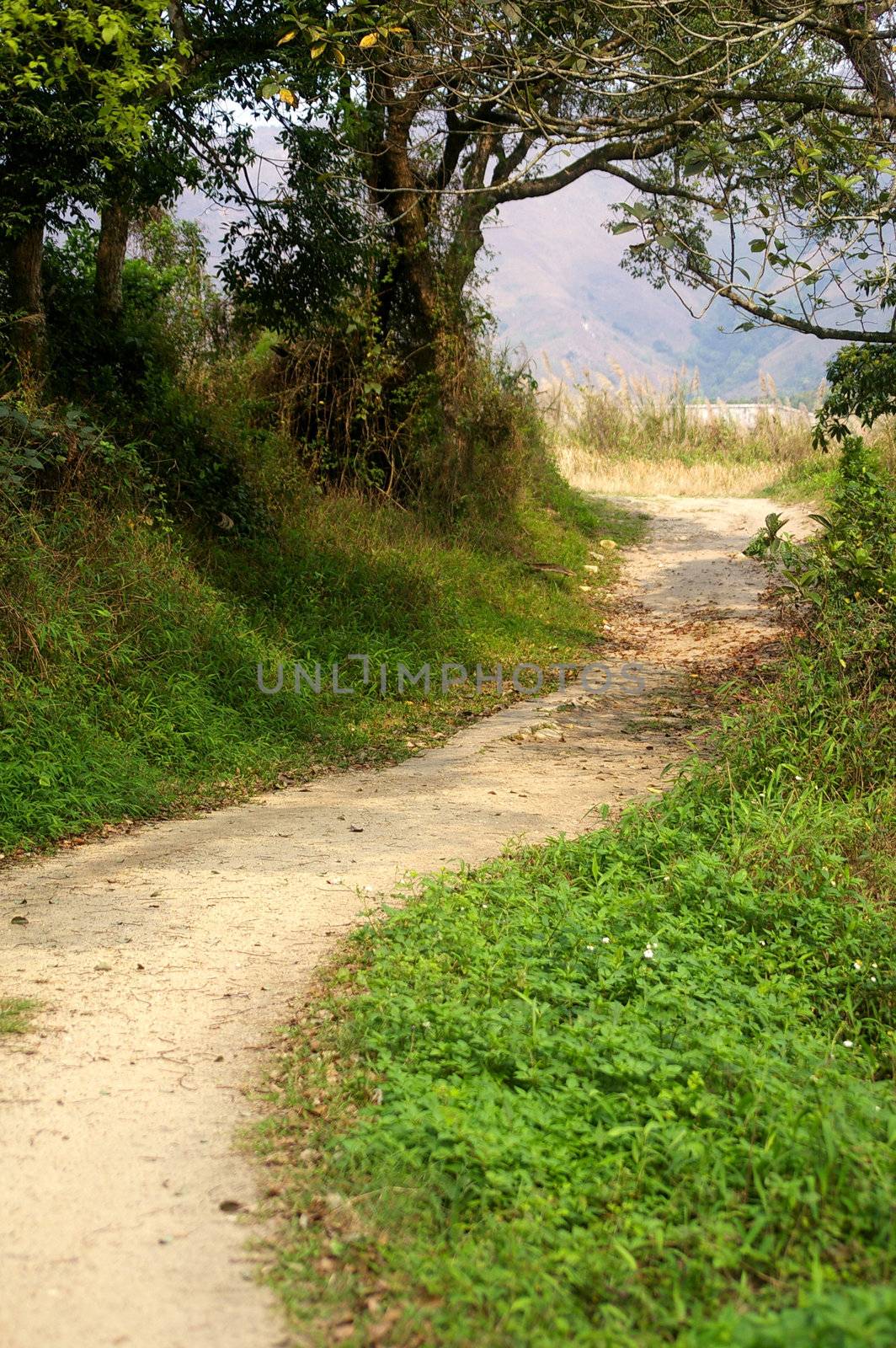 Hiking path