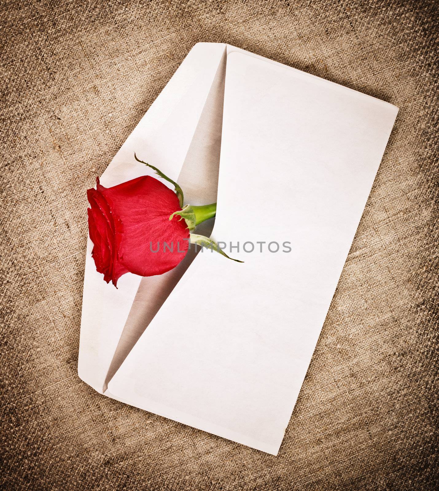 red rose on old canvas and blank envelope, template