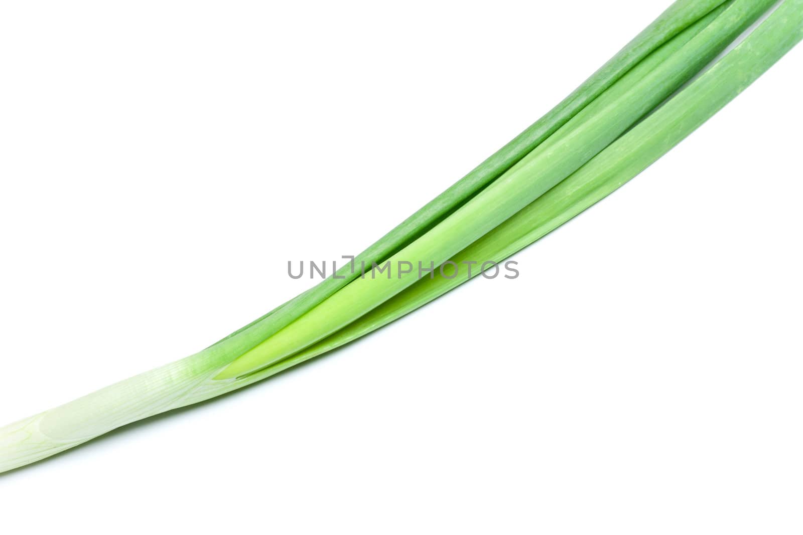 fresh green onions isolated on white background