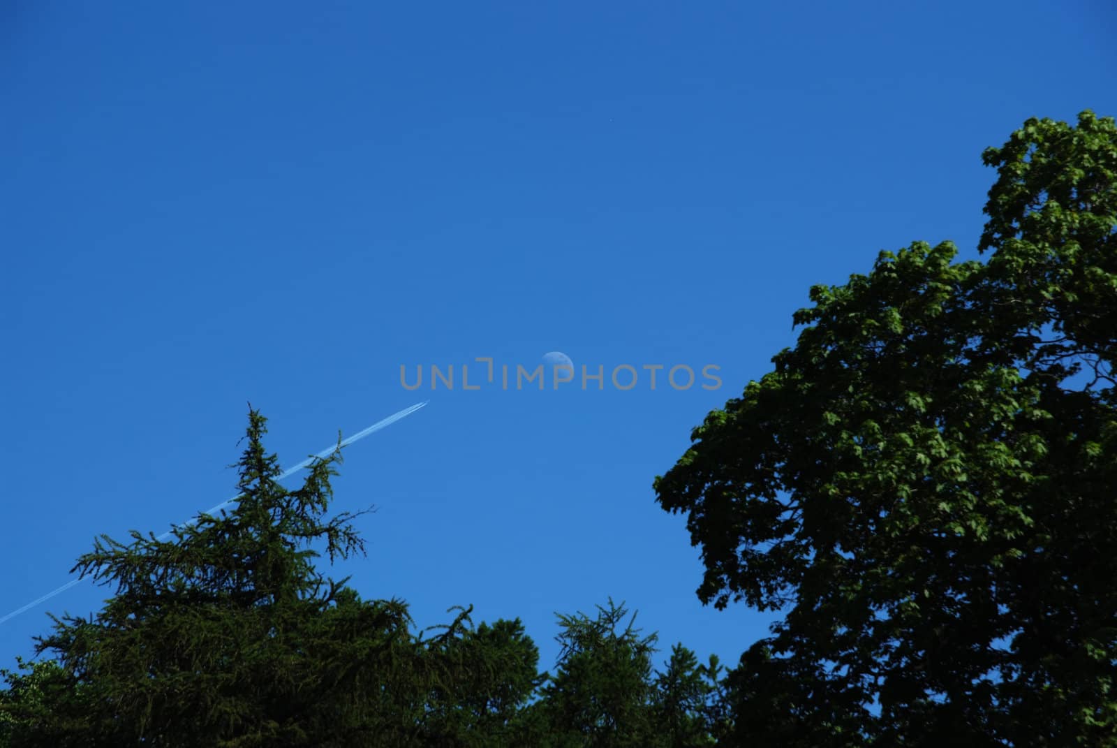 Trail of airbus, looking like it flying to the moon