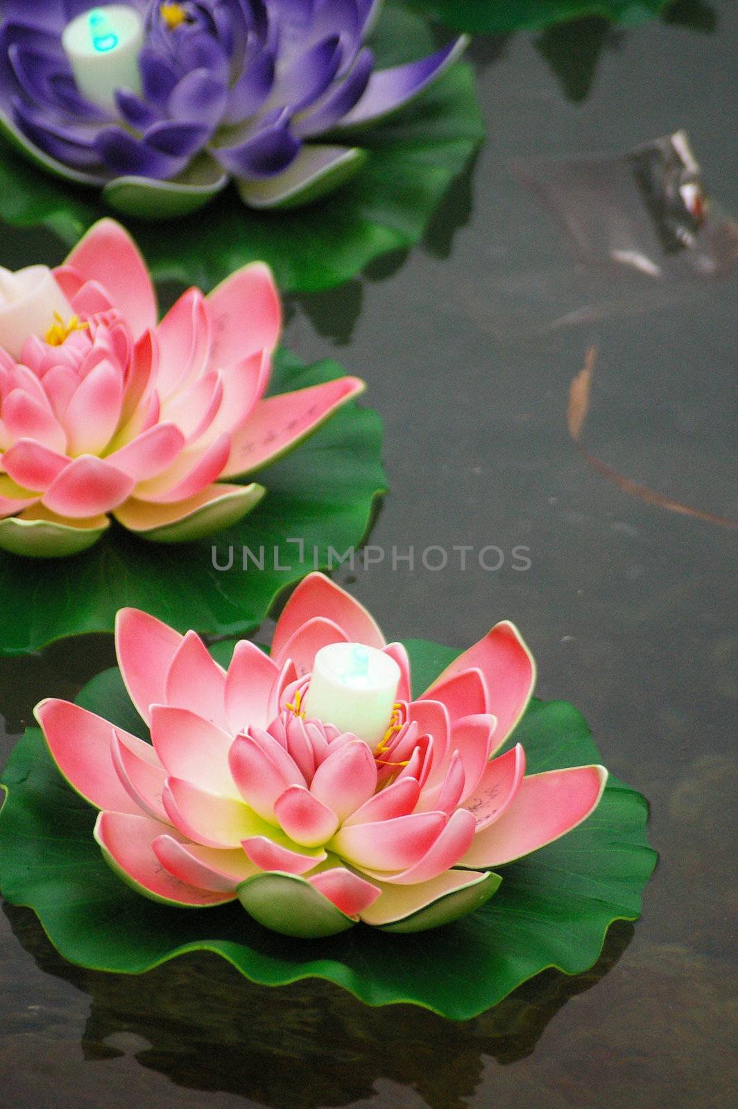 Water lanterns