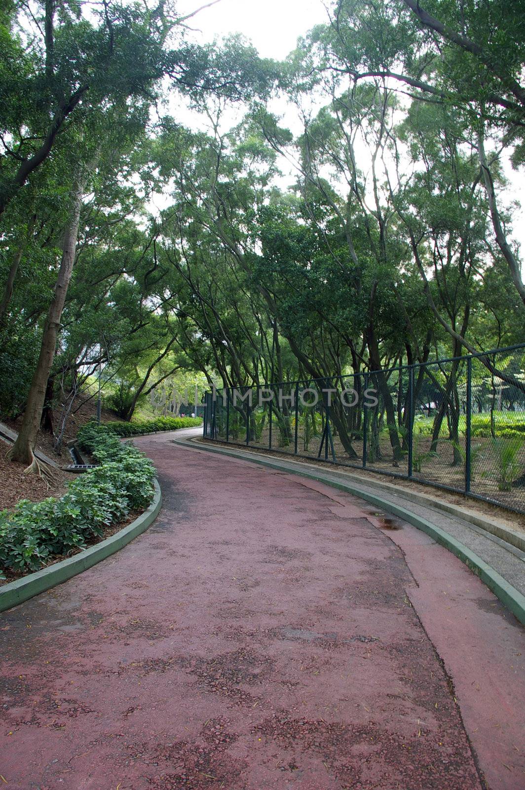 Path in a park by kawing921