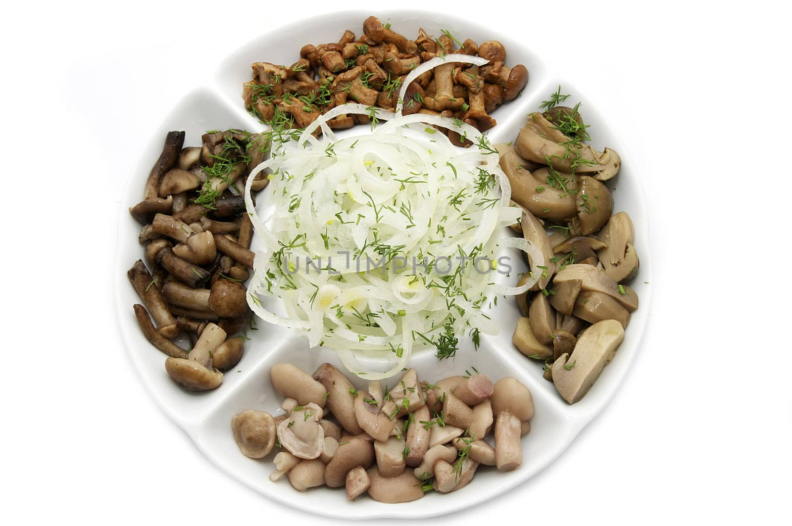 several species of mushrooms on a white plate