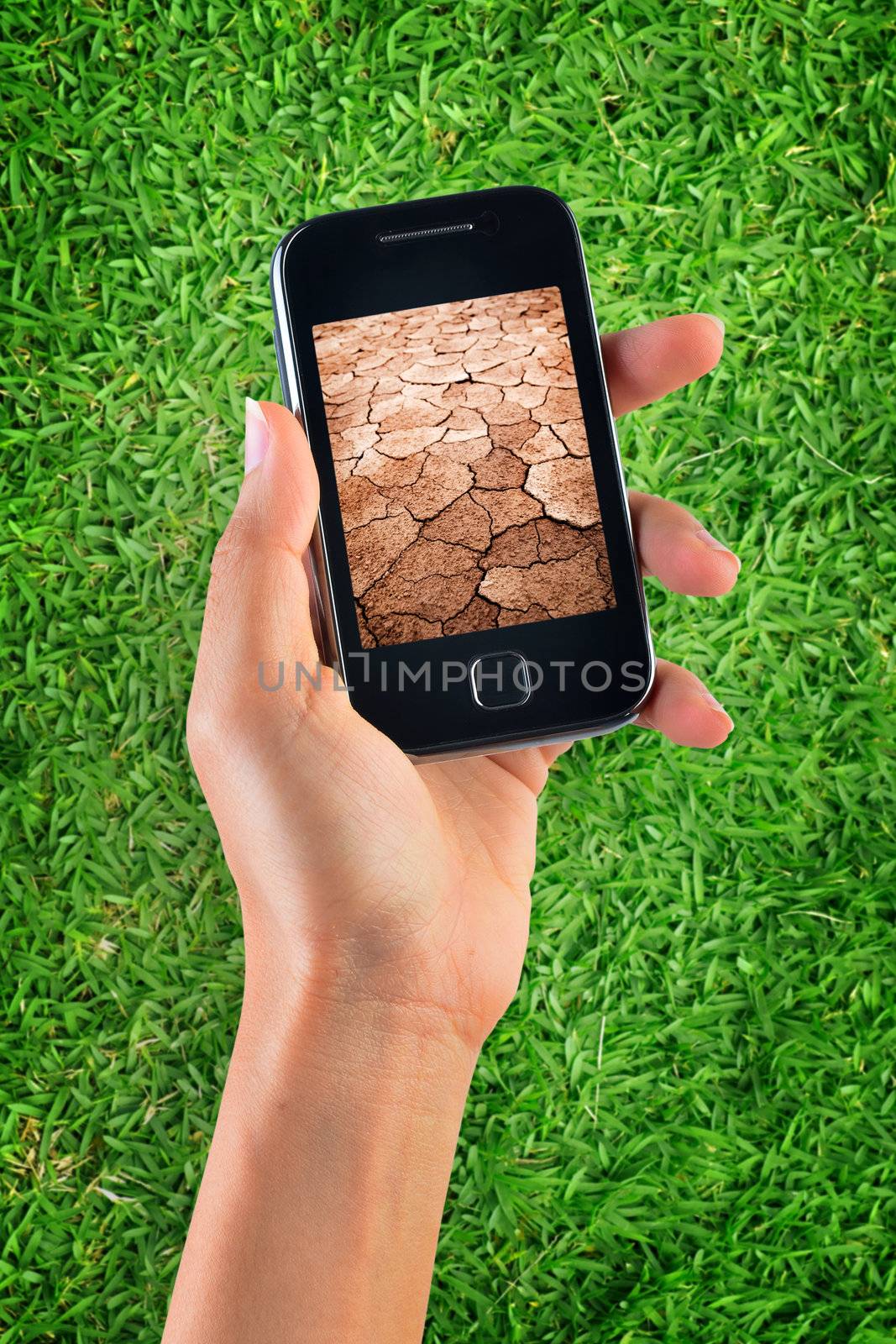 Contrast of green grass and dry soil