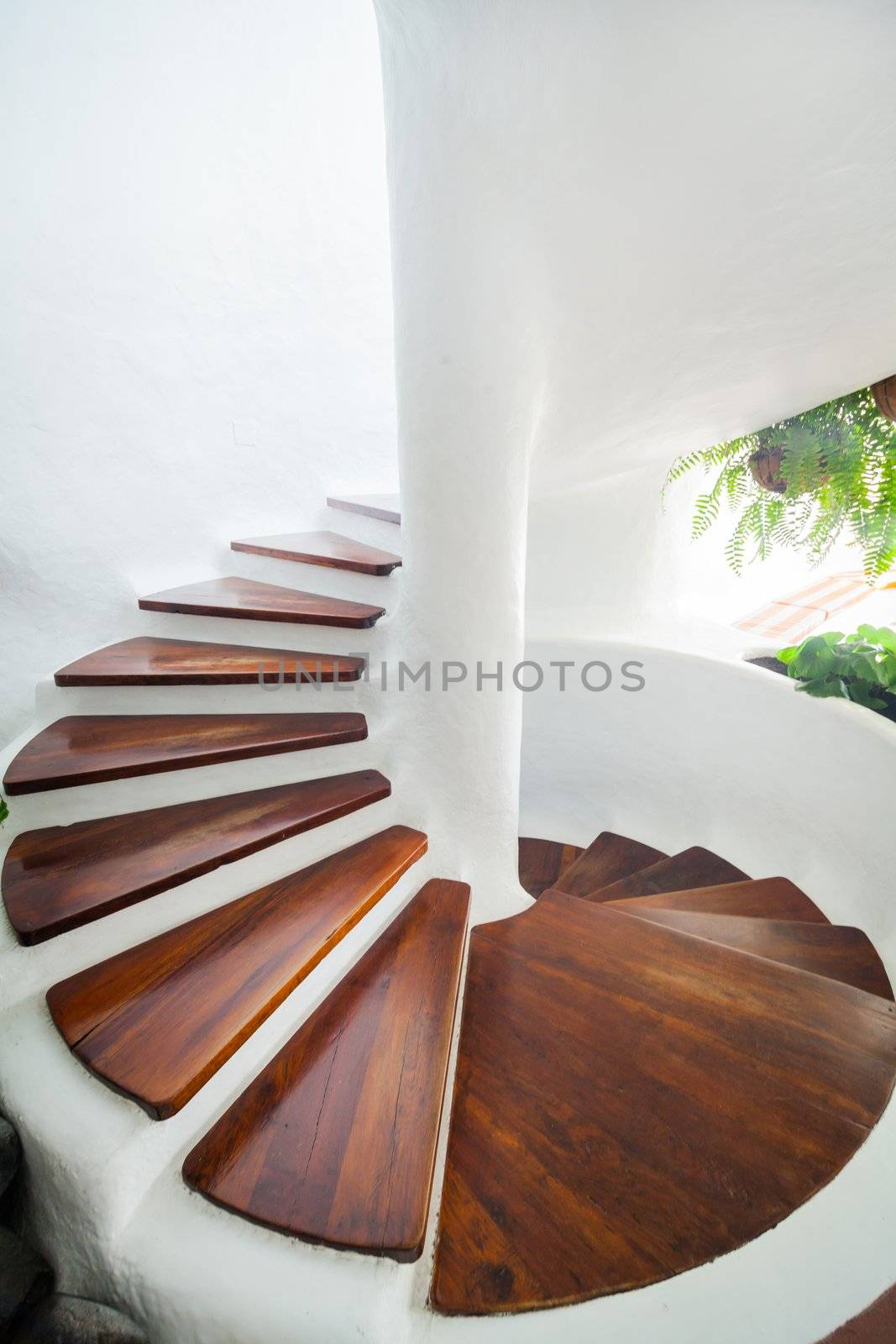 White and wood spiral staircase in modern interior. Vertical view