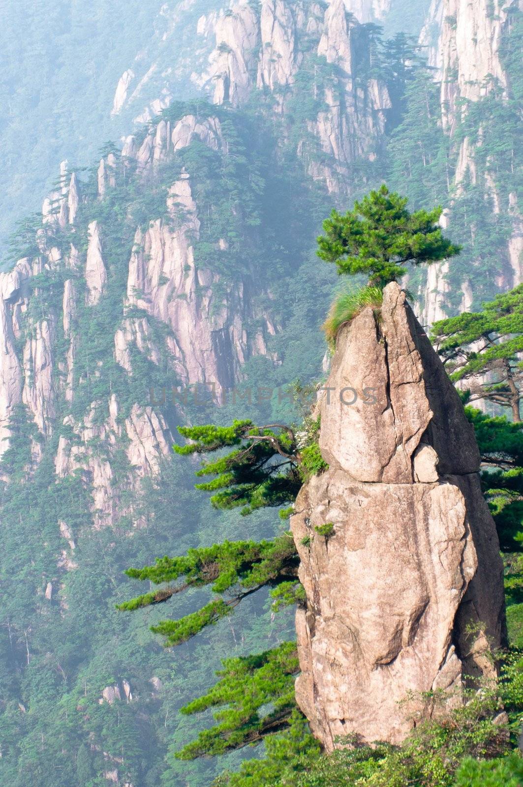 Huangshan mountain peak with trees on top, china