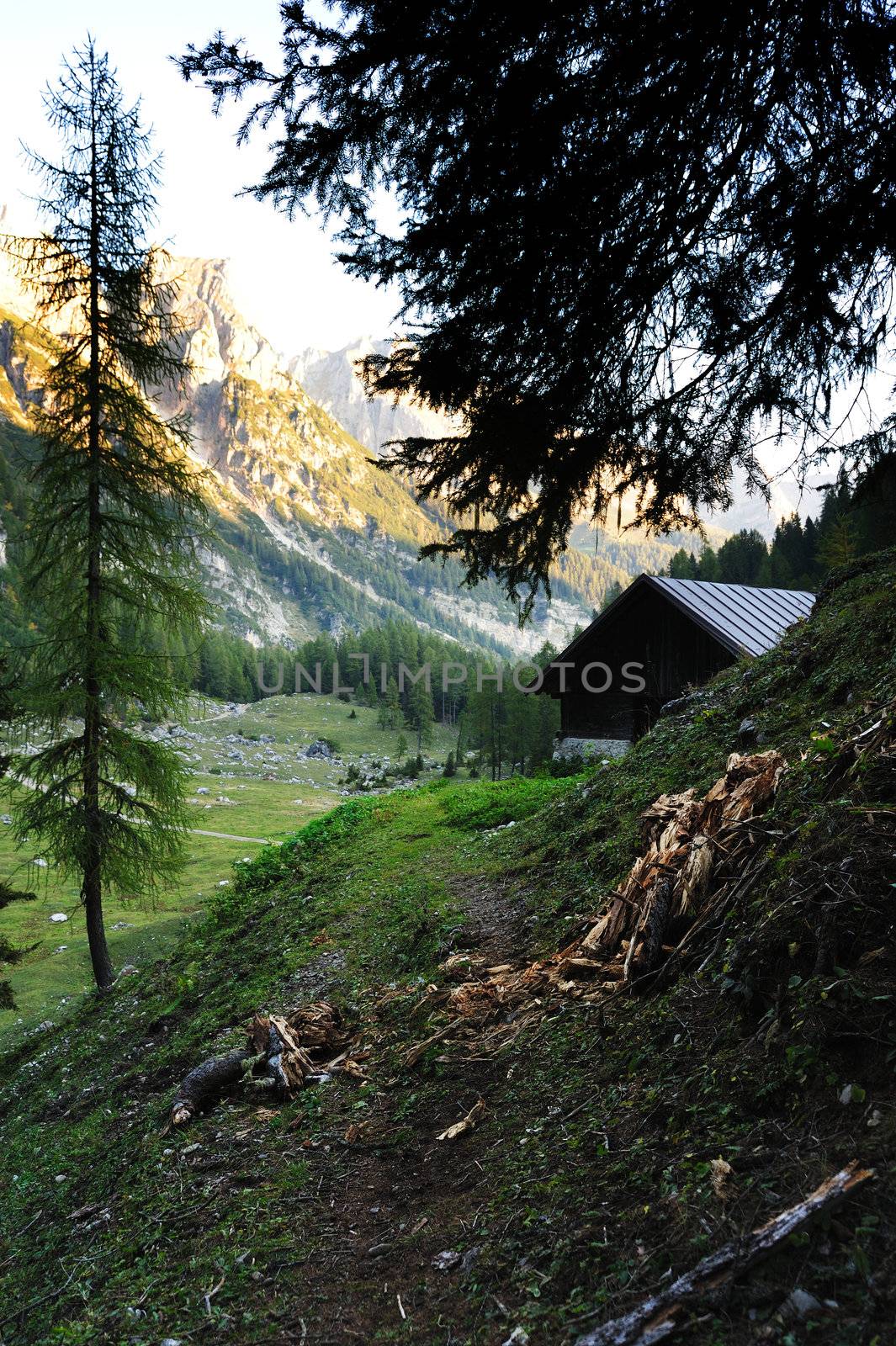 An image of a little house in the mountains