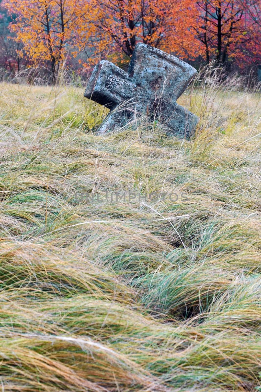 An image of old cross in grass