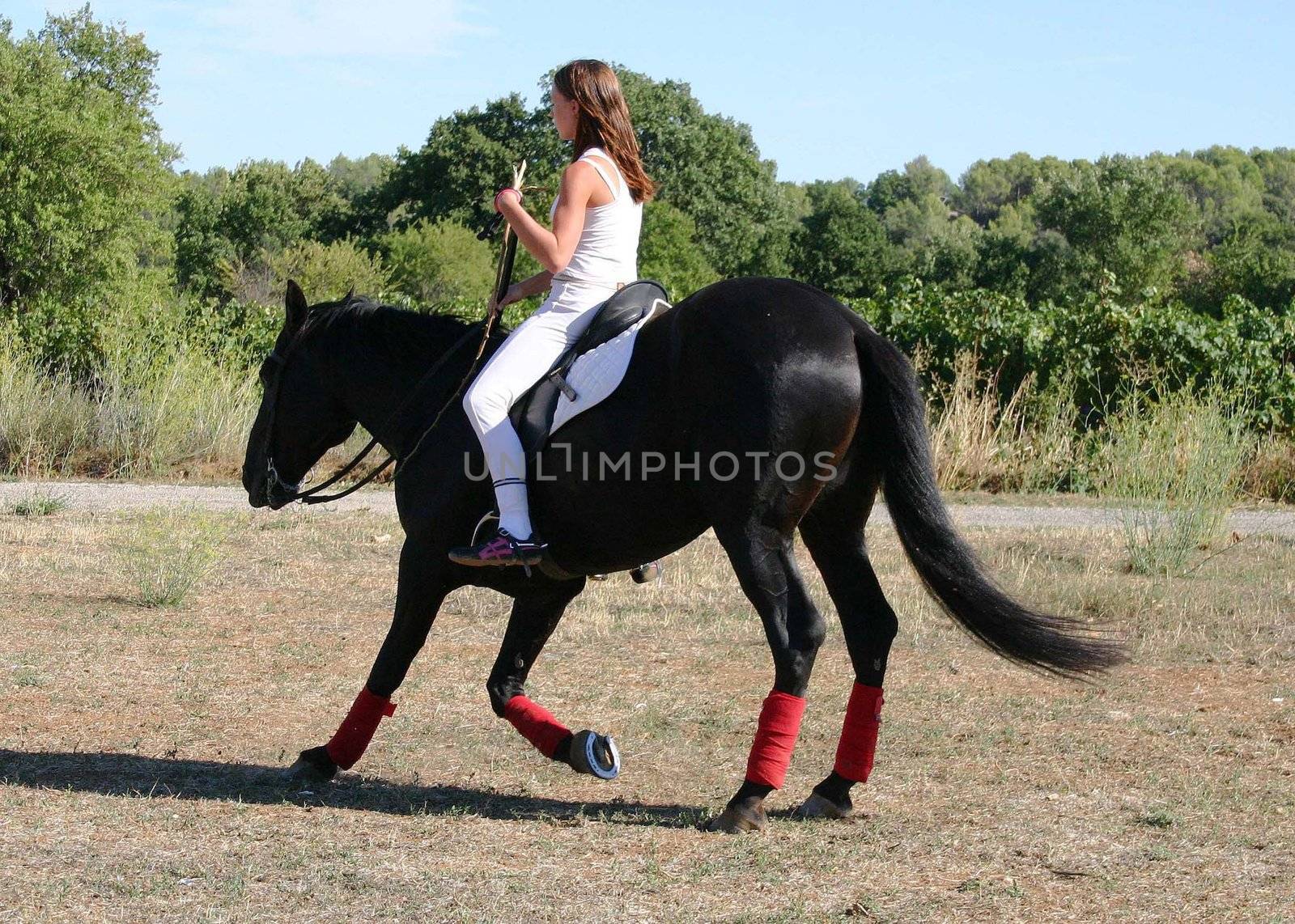 young woman and his black stallion in  a field