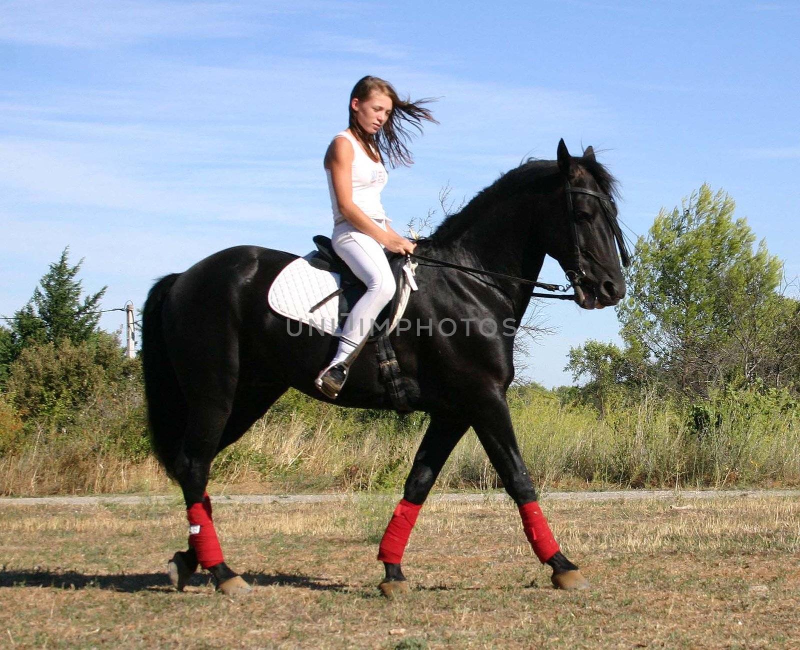 young woman and his black stallion in  a field