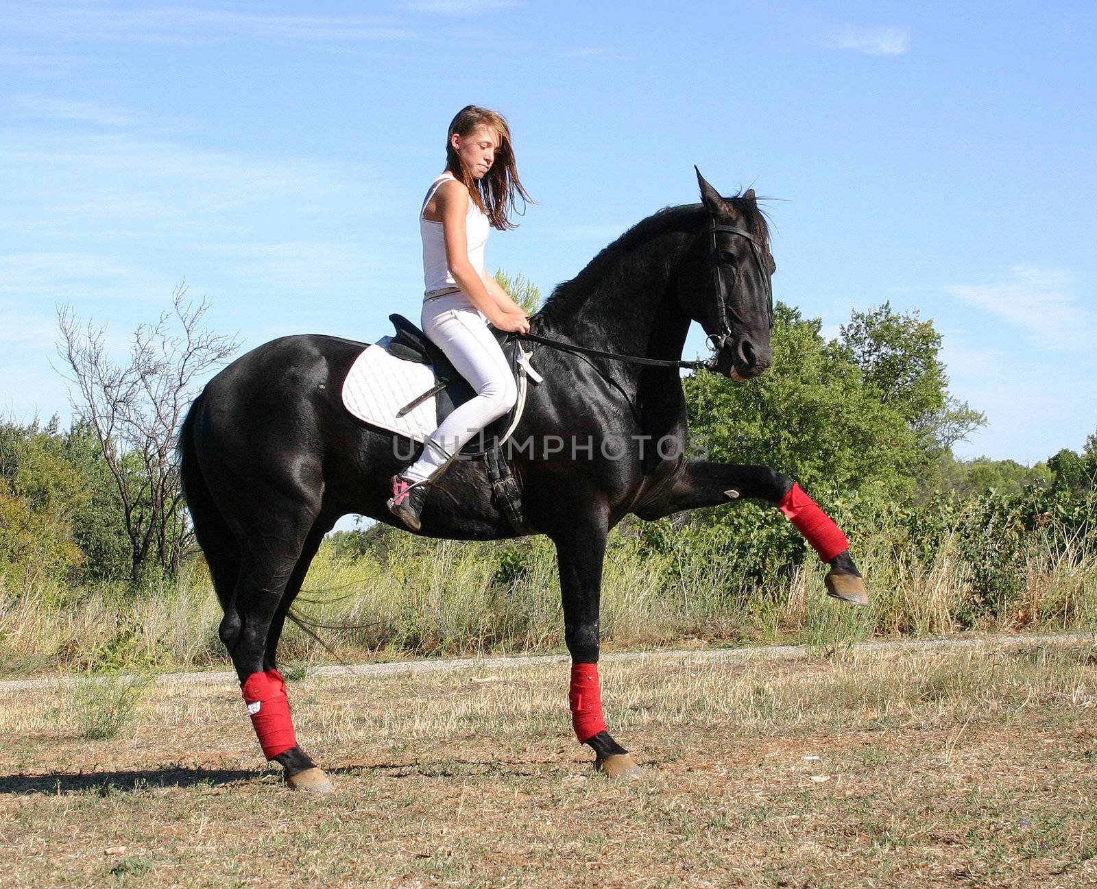 young woman and horse by cynoclub