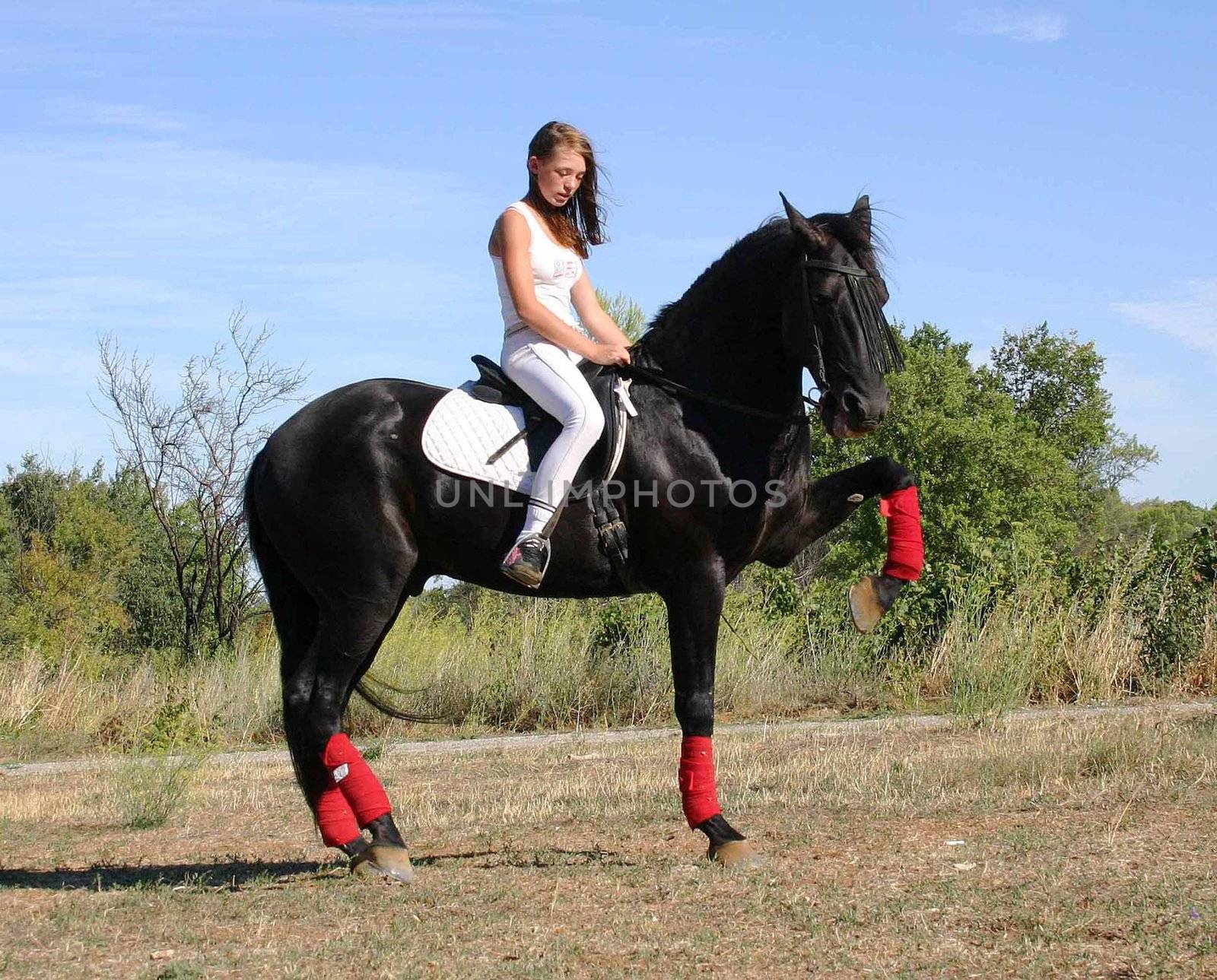 young woman and his black stallion in  a field