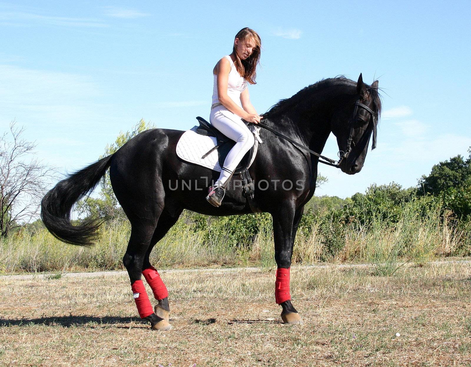 young woman and horse by cynoclub