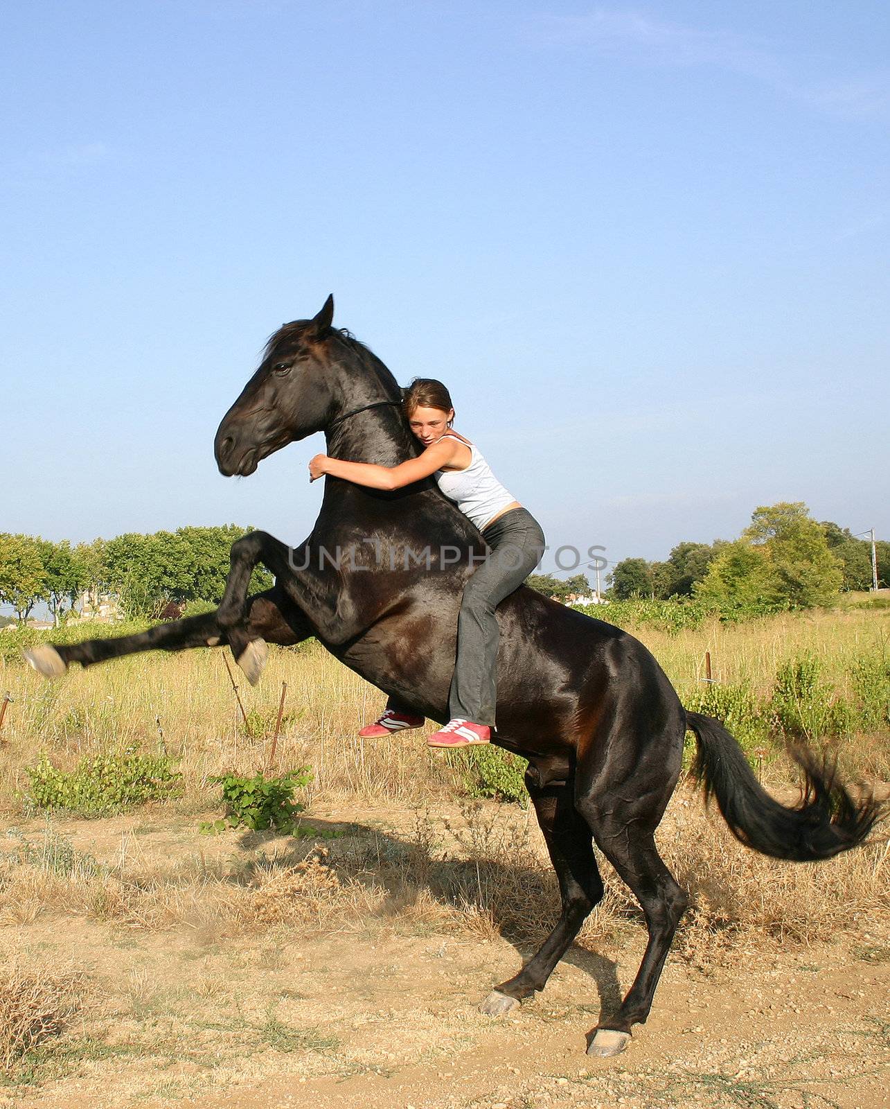 young woman and her rearing stallion outdoors