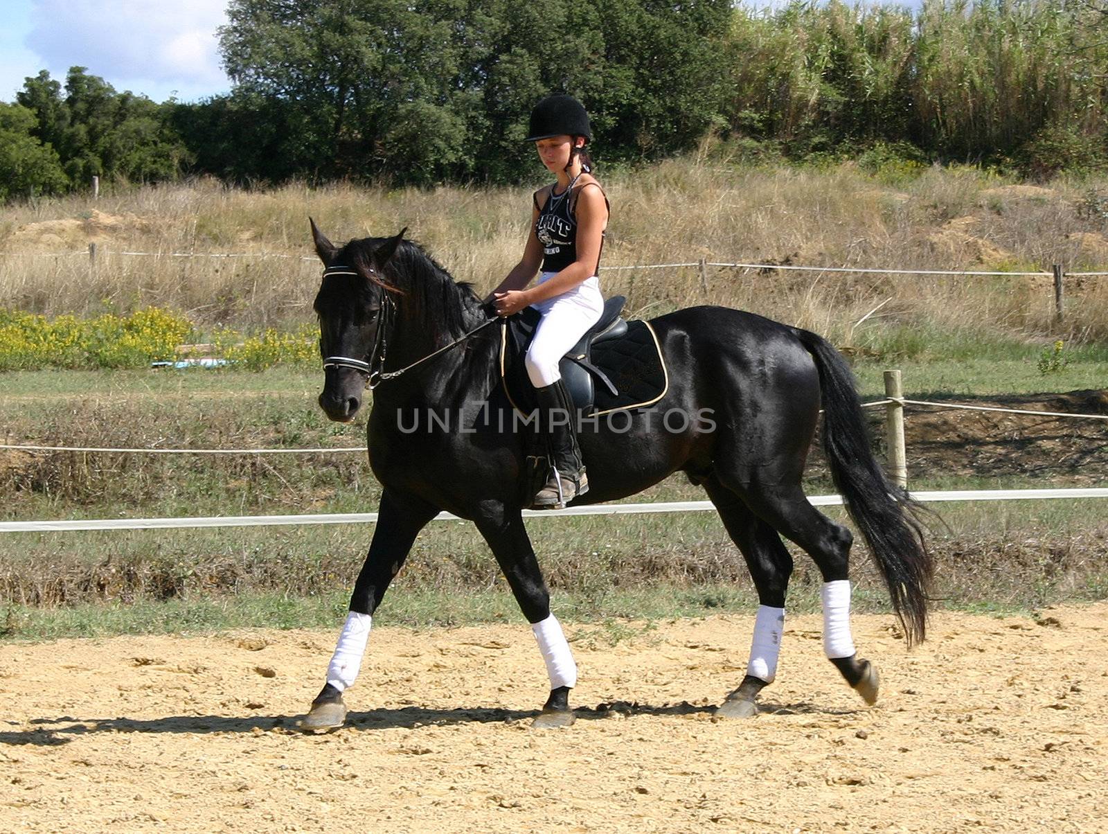 training in dressage for a black horse and her riding girl