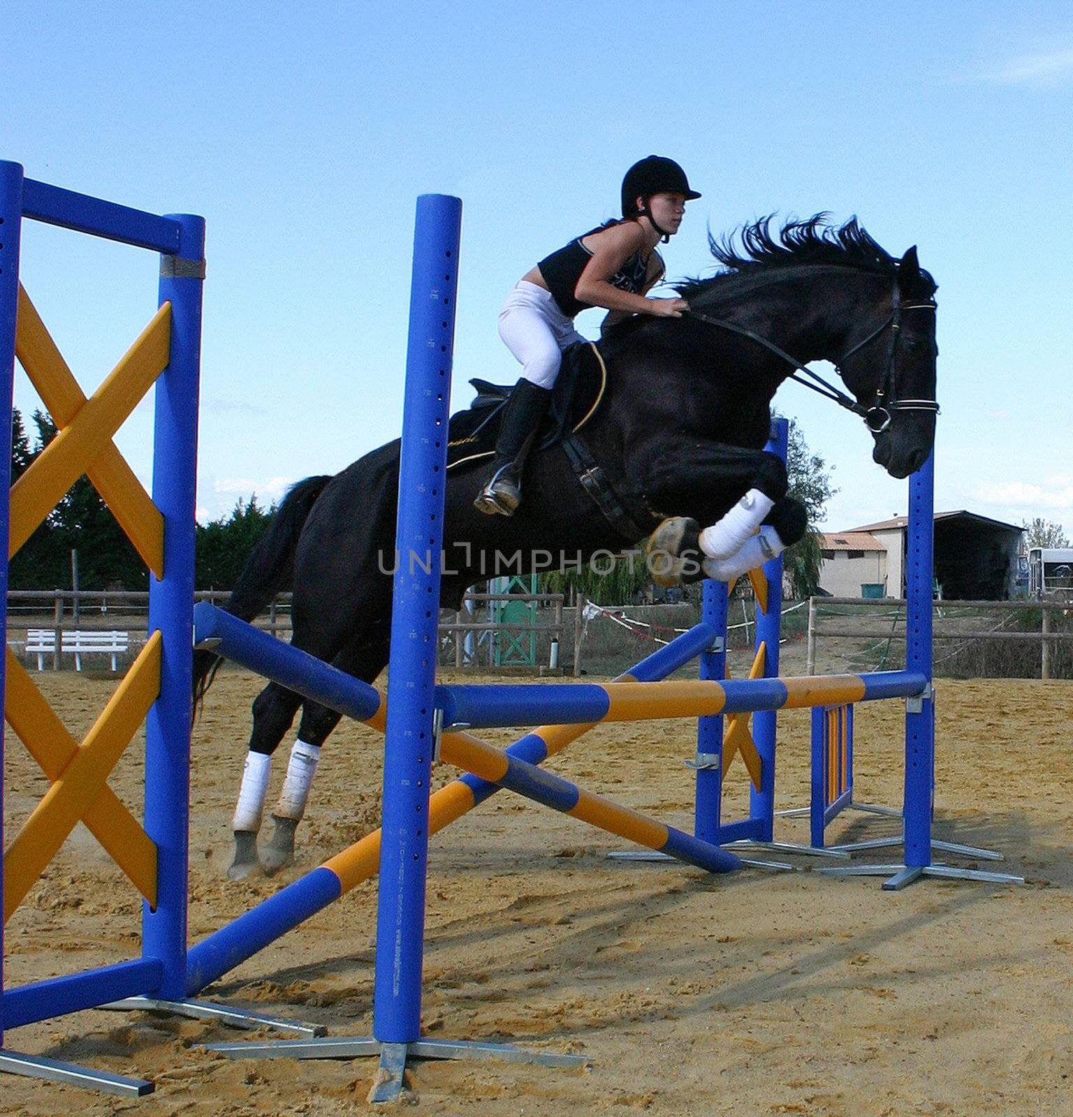 training for competition of jumping for an horse and her riding girl