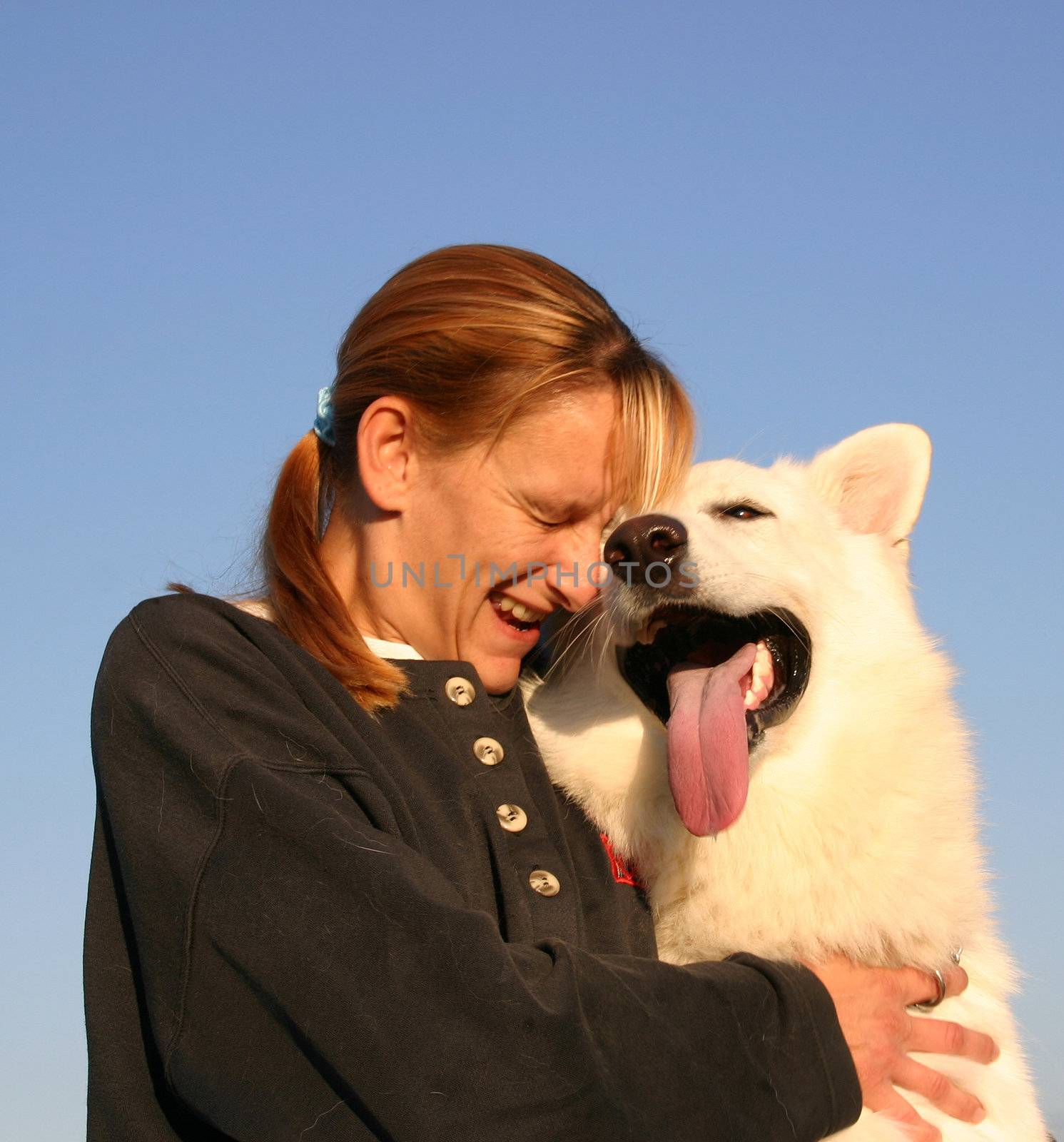 Purebred White Swiss Shepherd and woman in blue sky