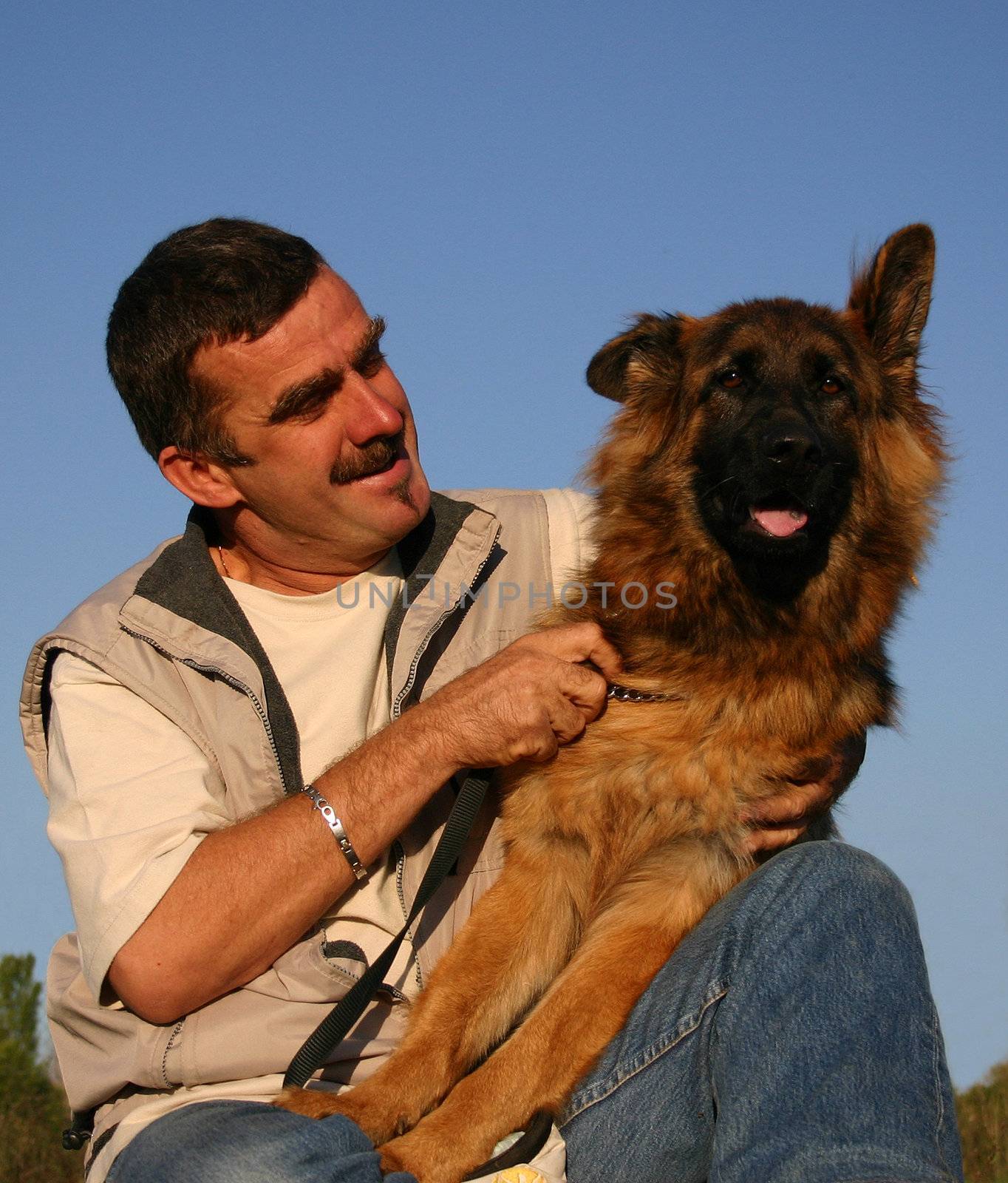 portrait of a purebred german shepherd and man 