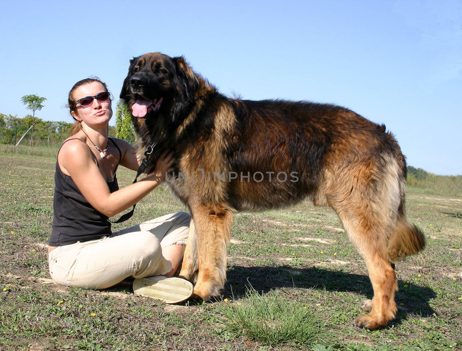 young woman and her purebred dog leonberger