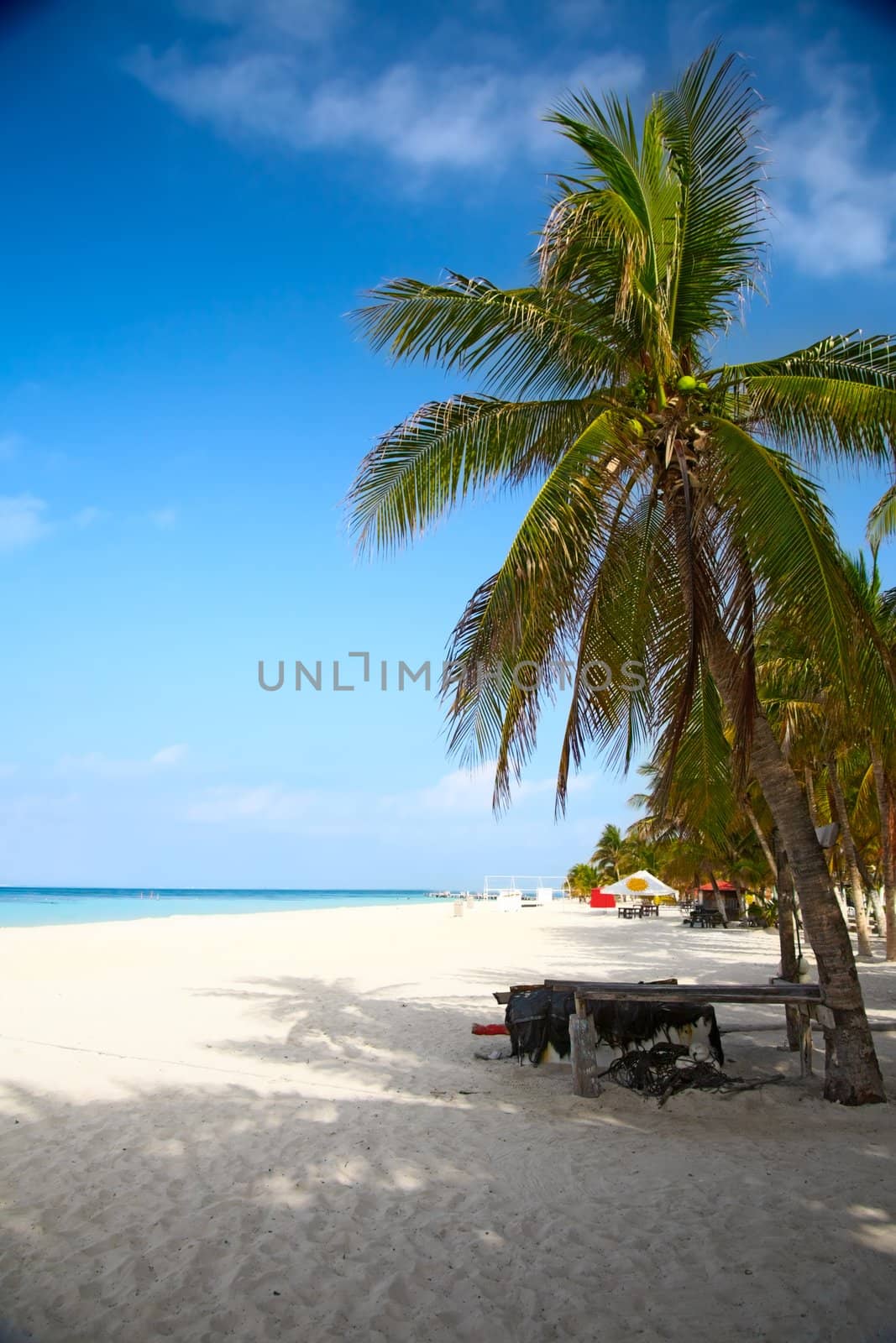 beach on the Isla Mujeres, Mexico