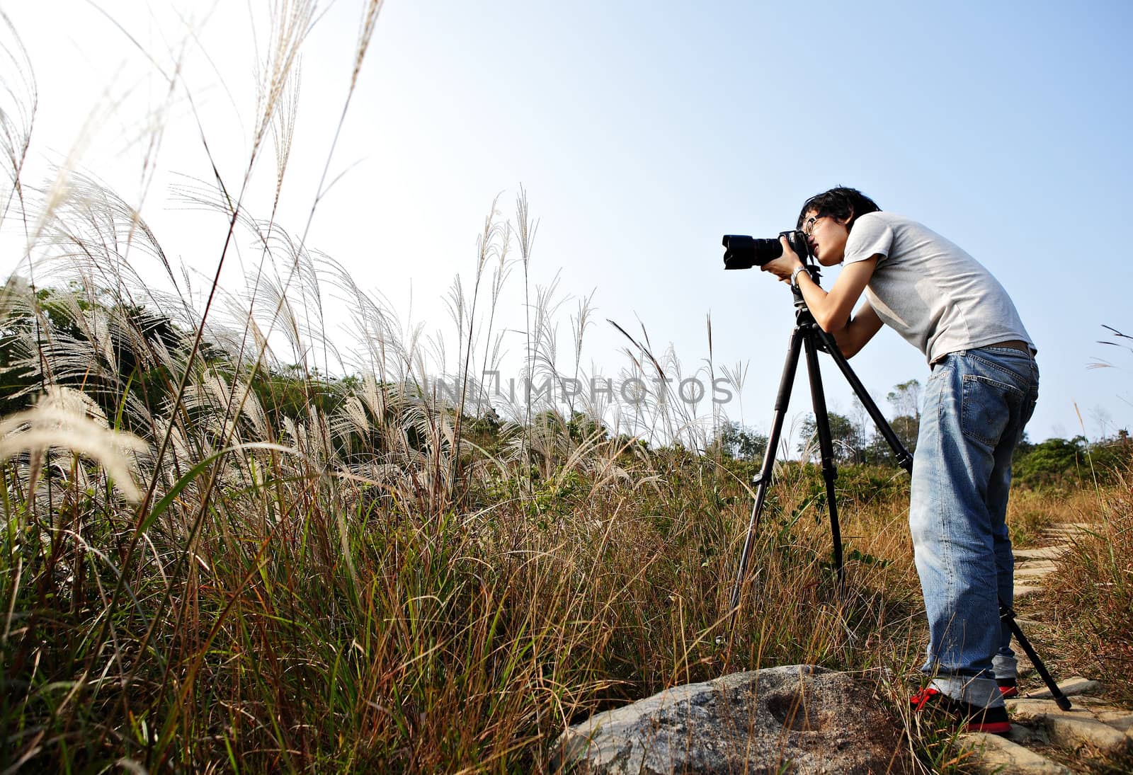 photographer taking photo in wild