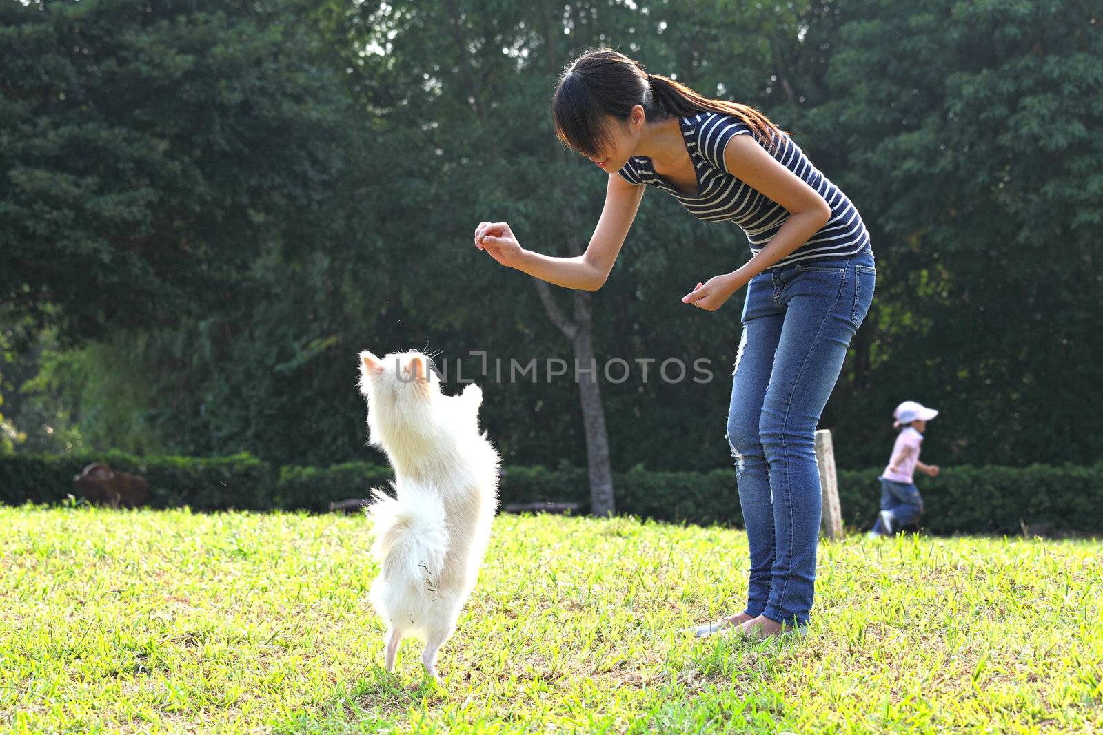 woman train her dog by leungchopan