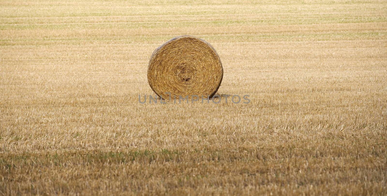 Hay stack on a filed