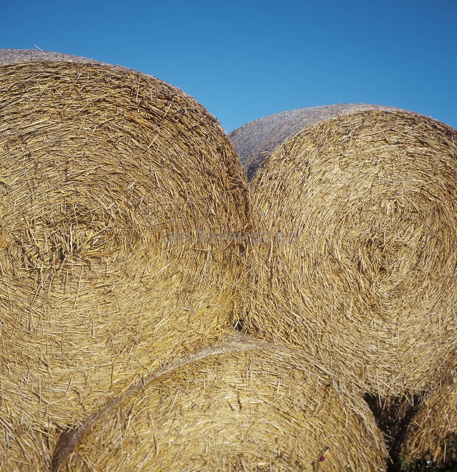 Close up of a pile of Hay stacks