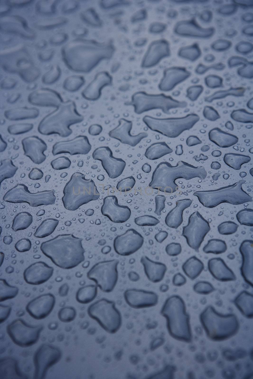 Full Frame of Water Drops