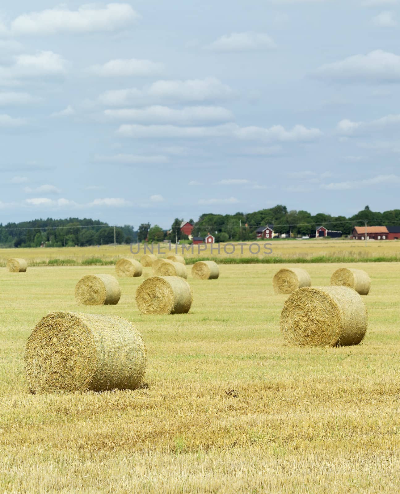 Farm Field by gemenacom