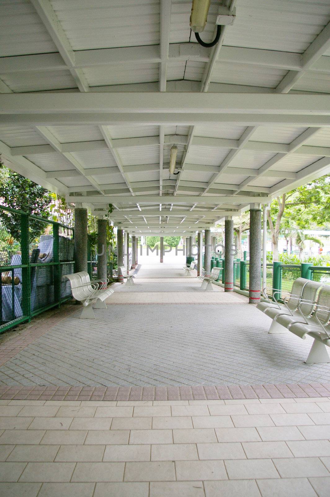 Path in a park