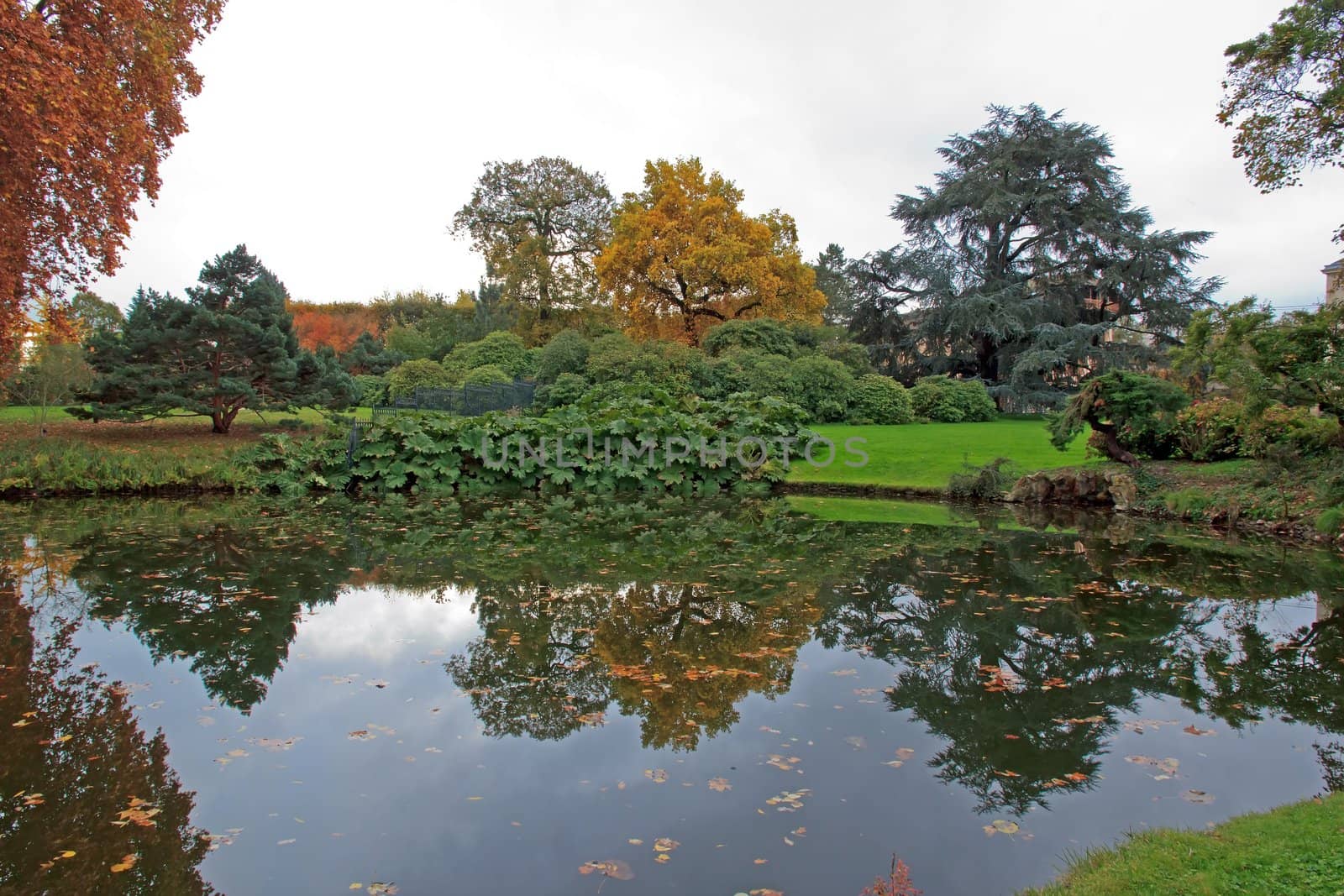 autumn landscape, the nature of reflection in a pond by neko92vl
