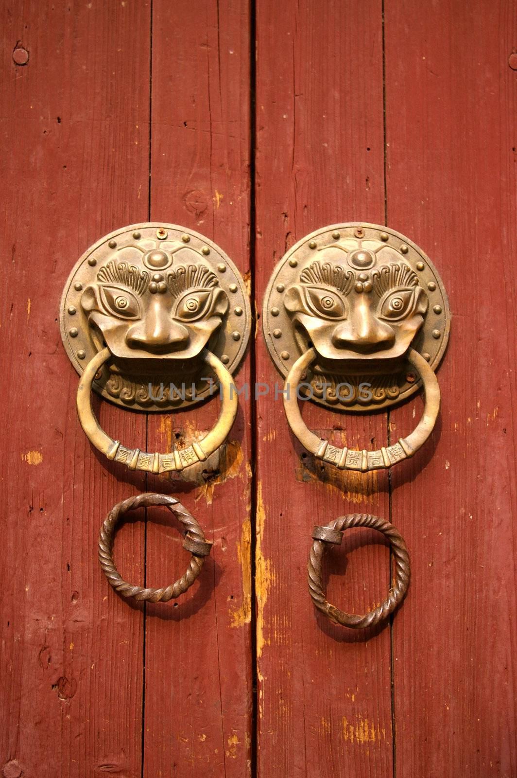 Double lion knobs on an old wooden gate