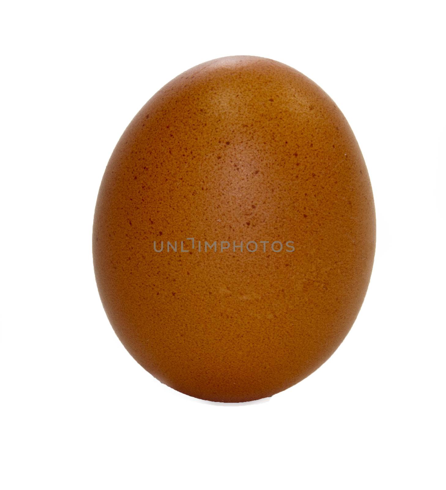 isolated egg with white background