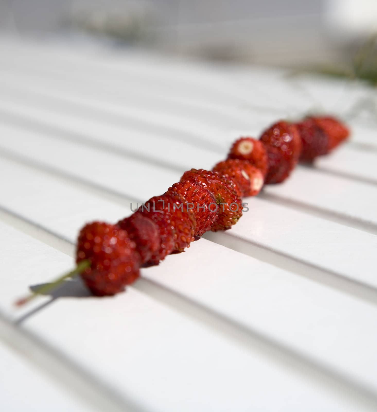 Wild Strawberries on a straw