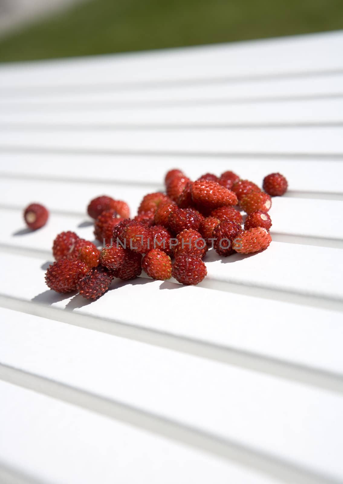 Pile of Wild Strawberries on a table