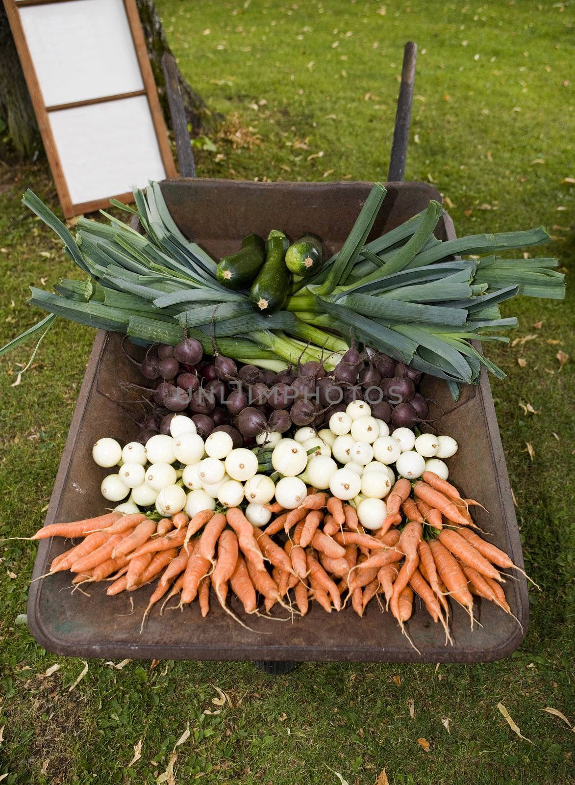 Worn Barrow with a large group of Vegetables