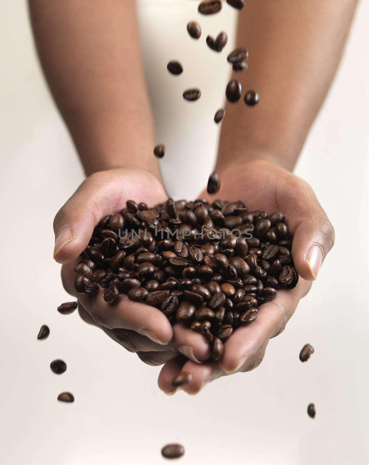 Hands holding Large group of Coffee beans