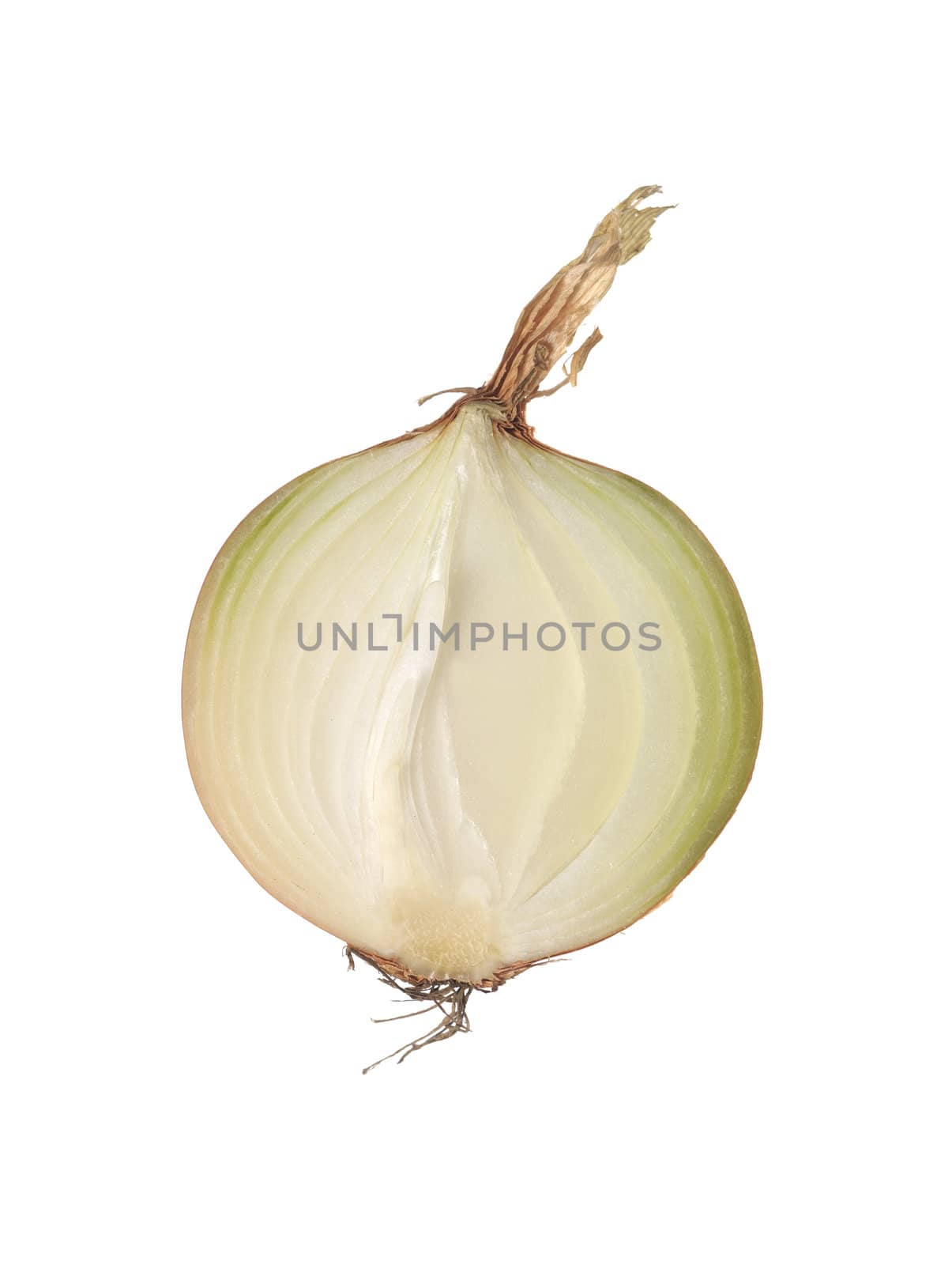 Onion cut in half isolated on white background