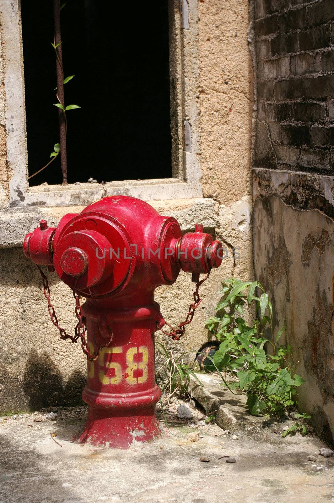 A fire hydrant