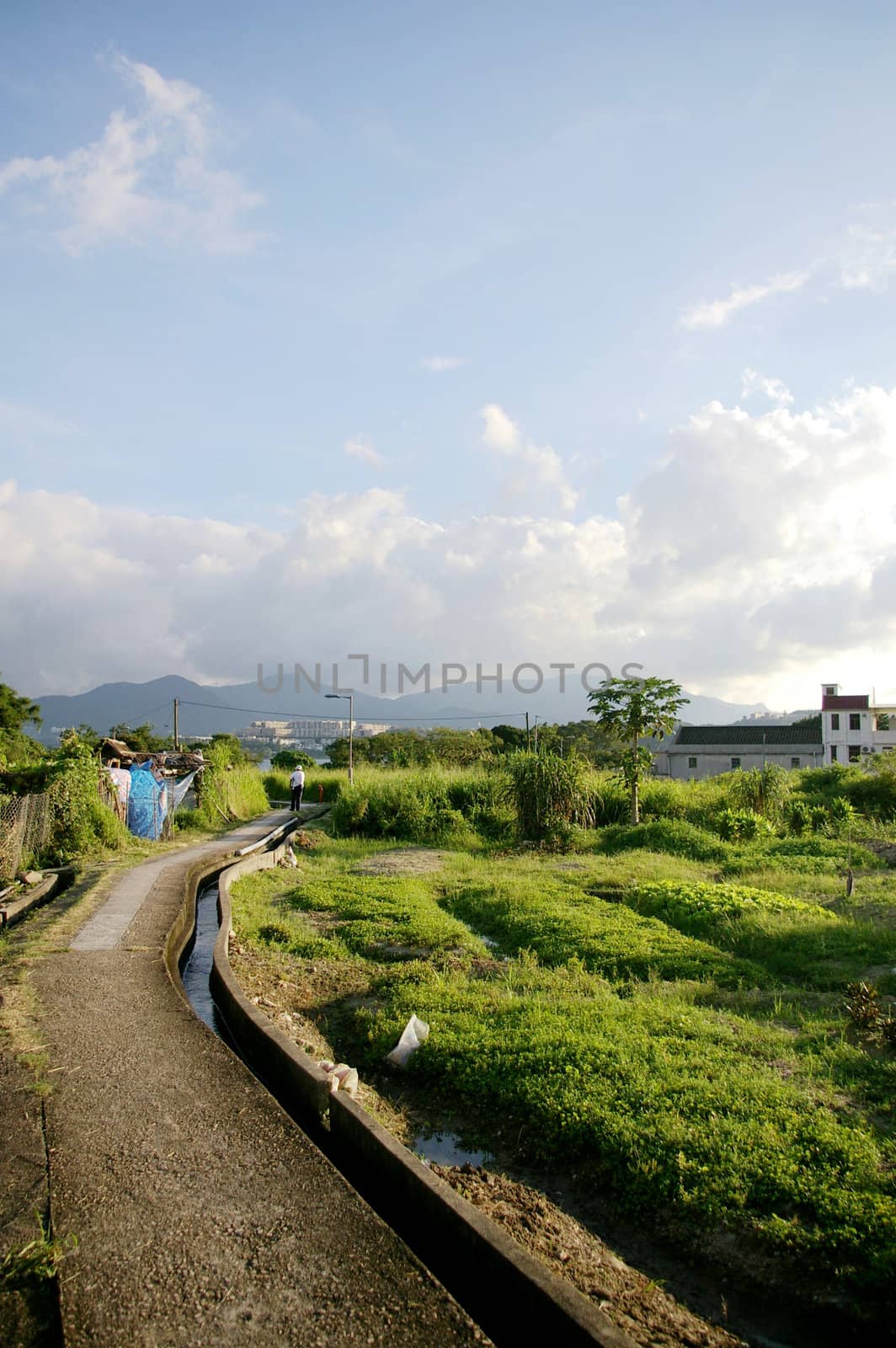 Farmland in Hong Kong