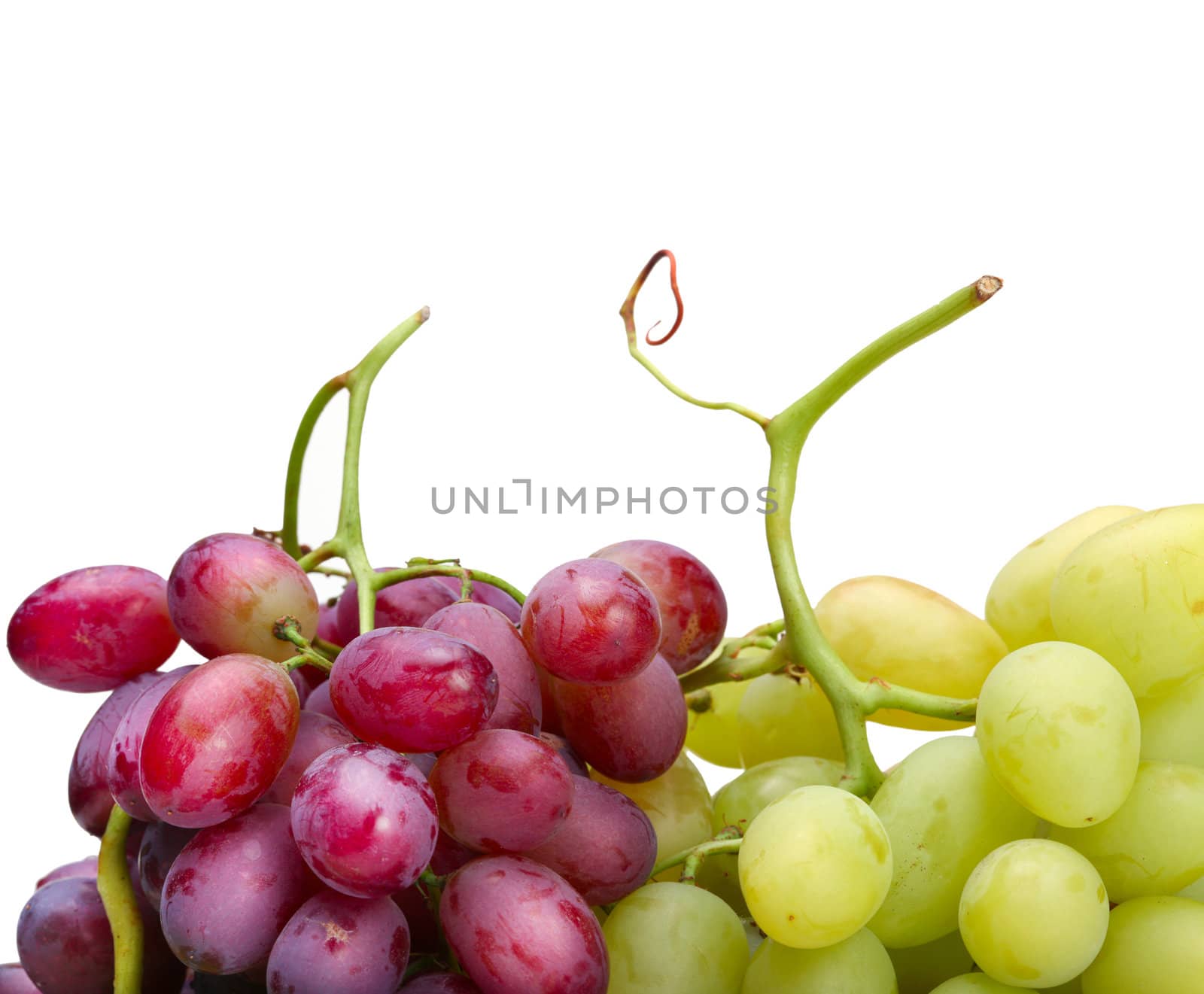 fresh green and rose grapes by rudchenko