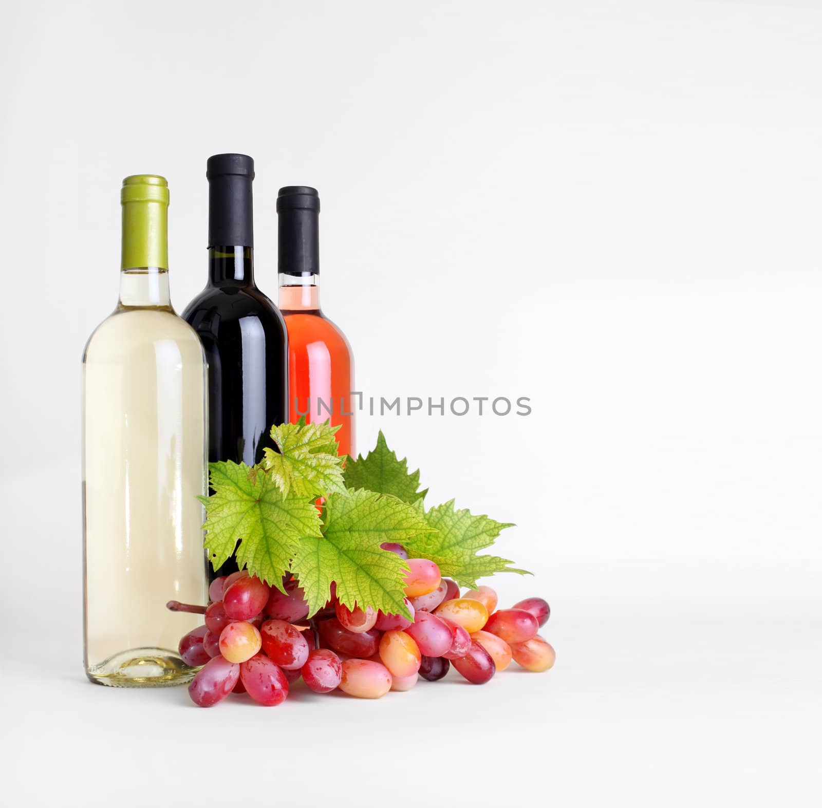 bottles of wine and grapes by rudchenko