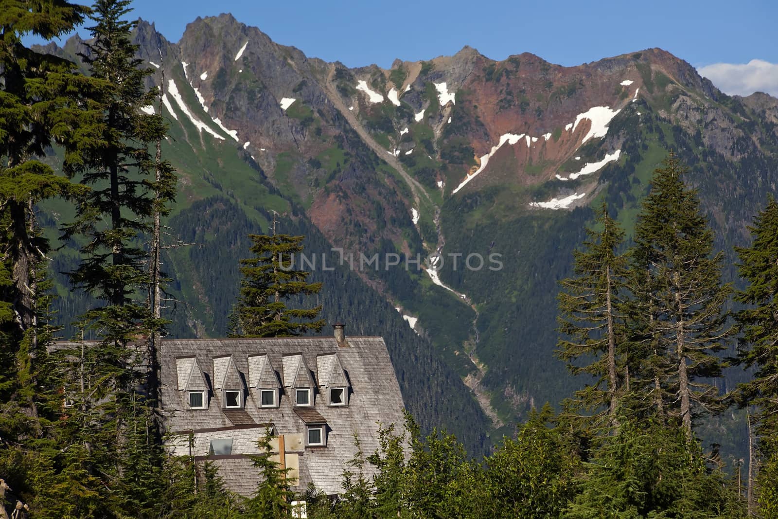 Mt. Baker Lodge Evergreens Red Snow Mountains Vista Point Mount Baker Highway Washington State Pacific Northwest