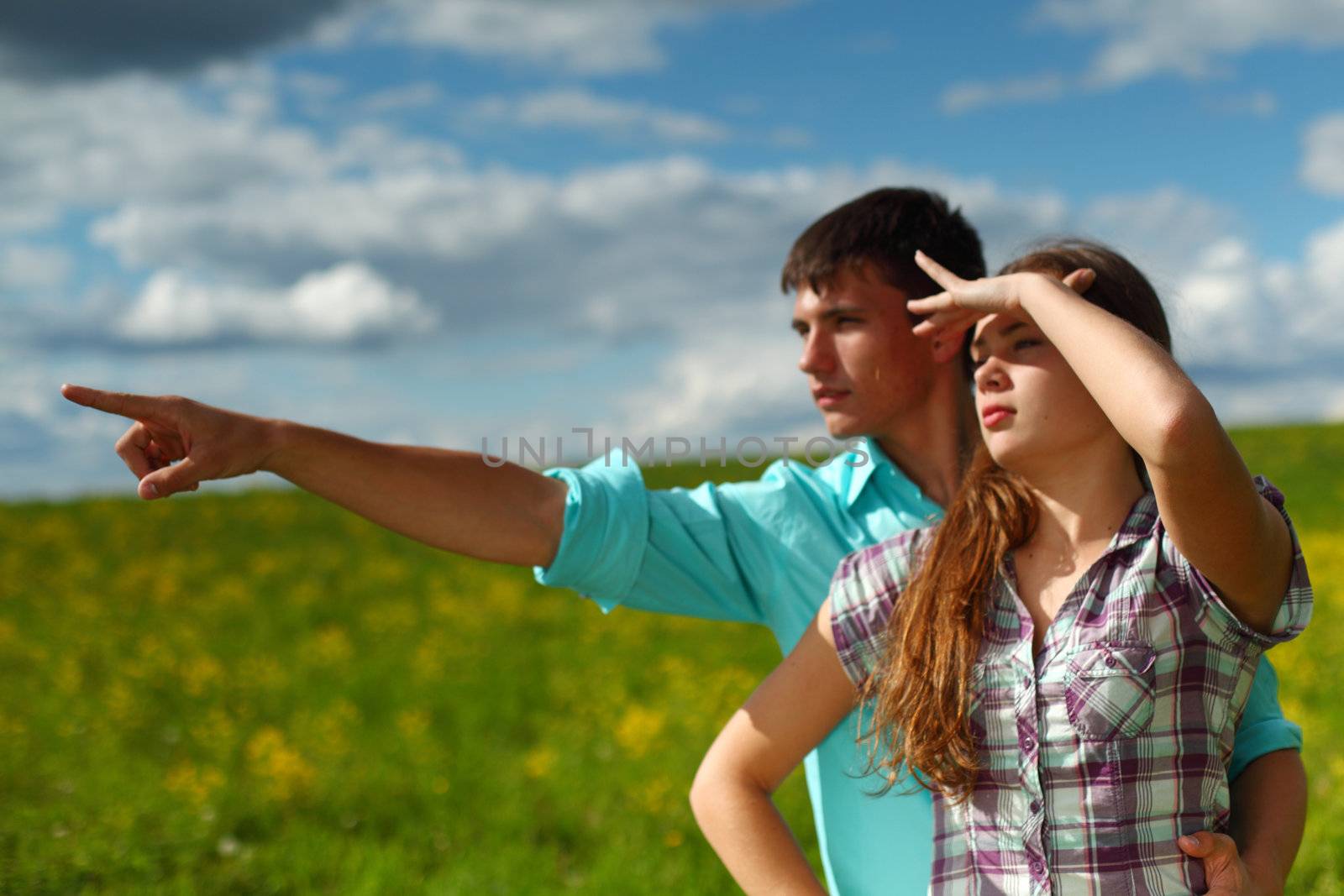 lovers look around on yellow flower field