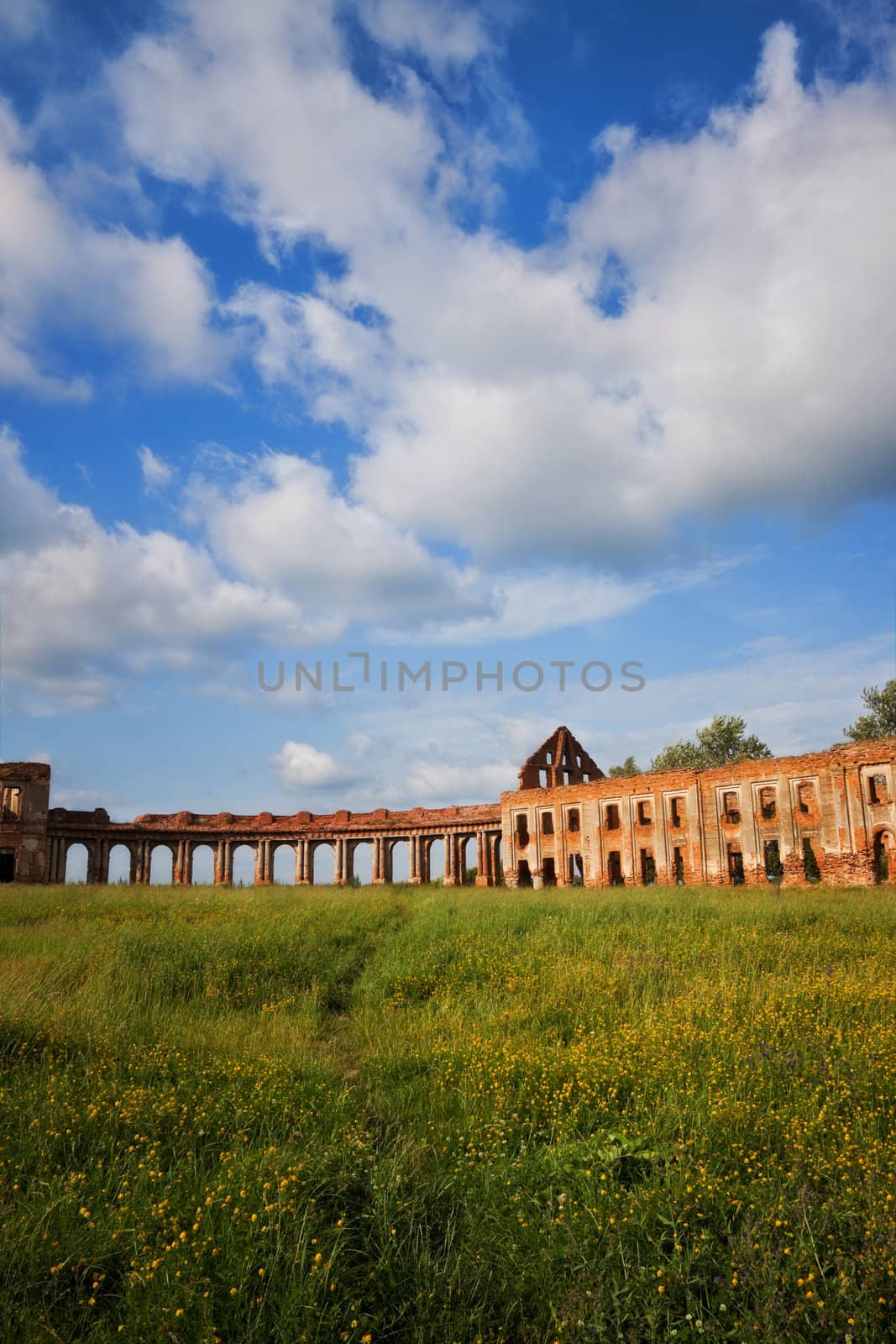 ruins of old castle on summer meadow