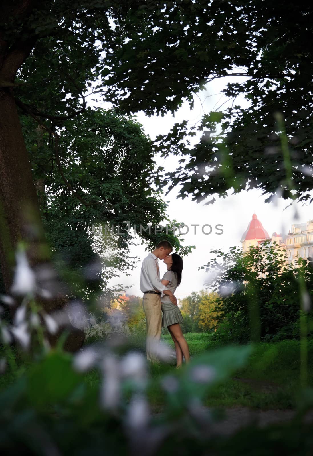 kissing couple in the park, view from branches