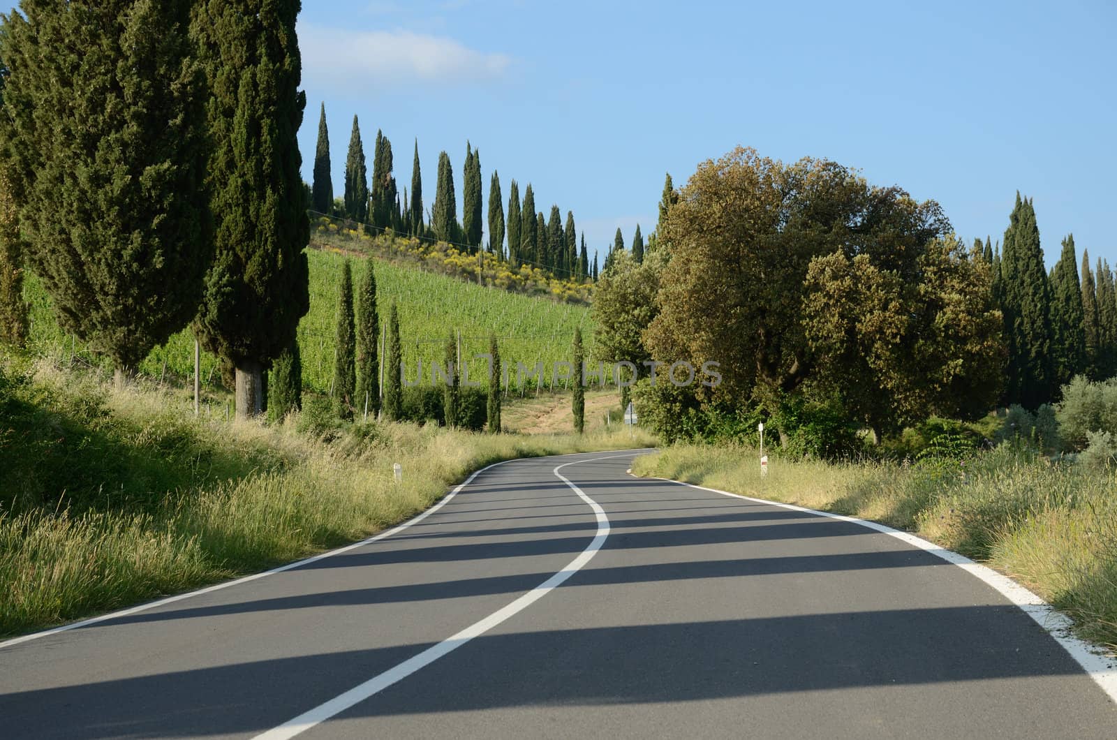 the via cassia, in tuscany, is a beautiful road to run
