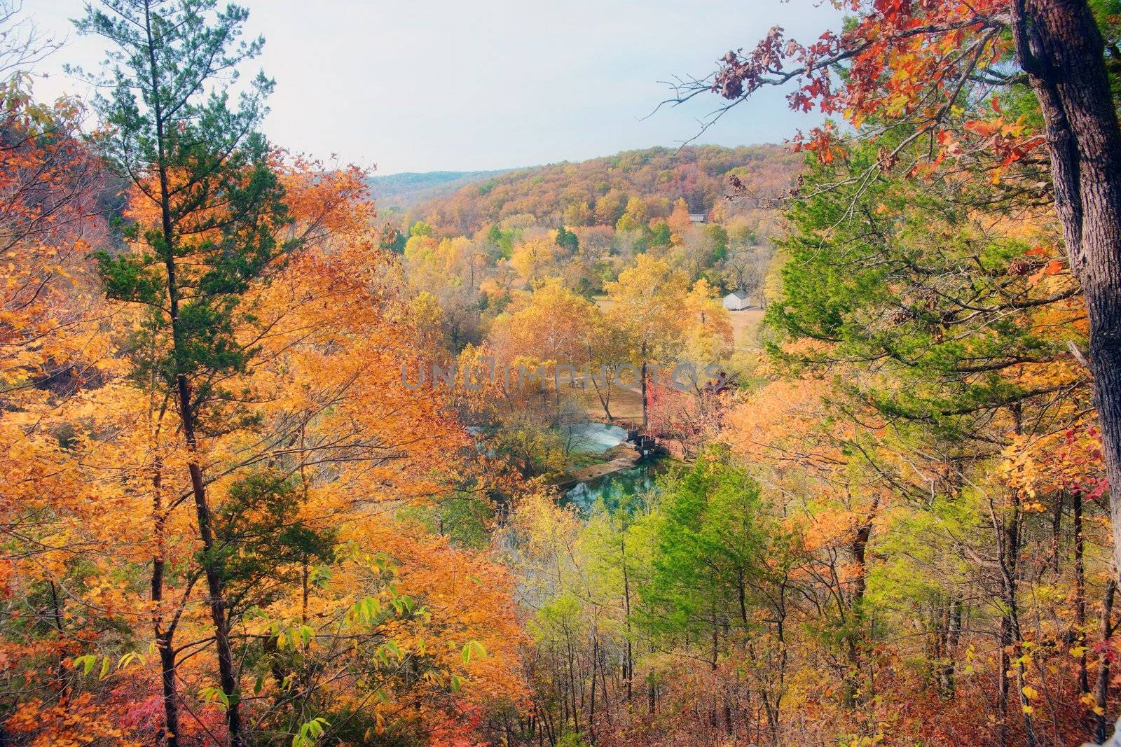 looking at the alley spring mill house  missouri in fall